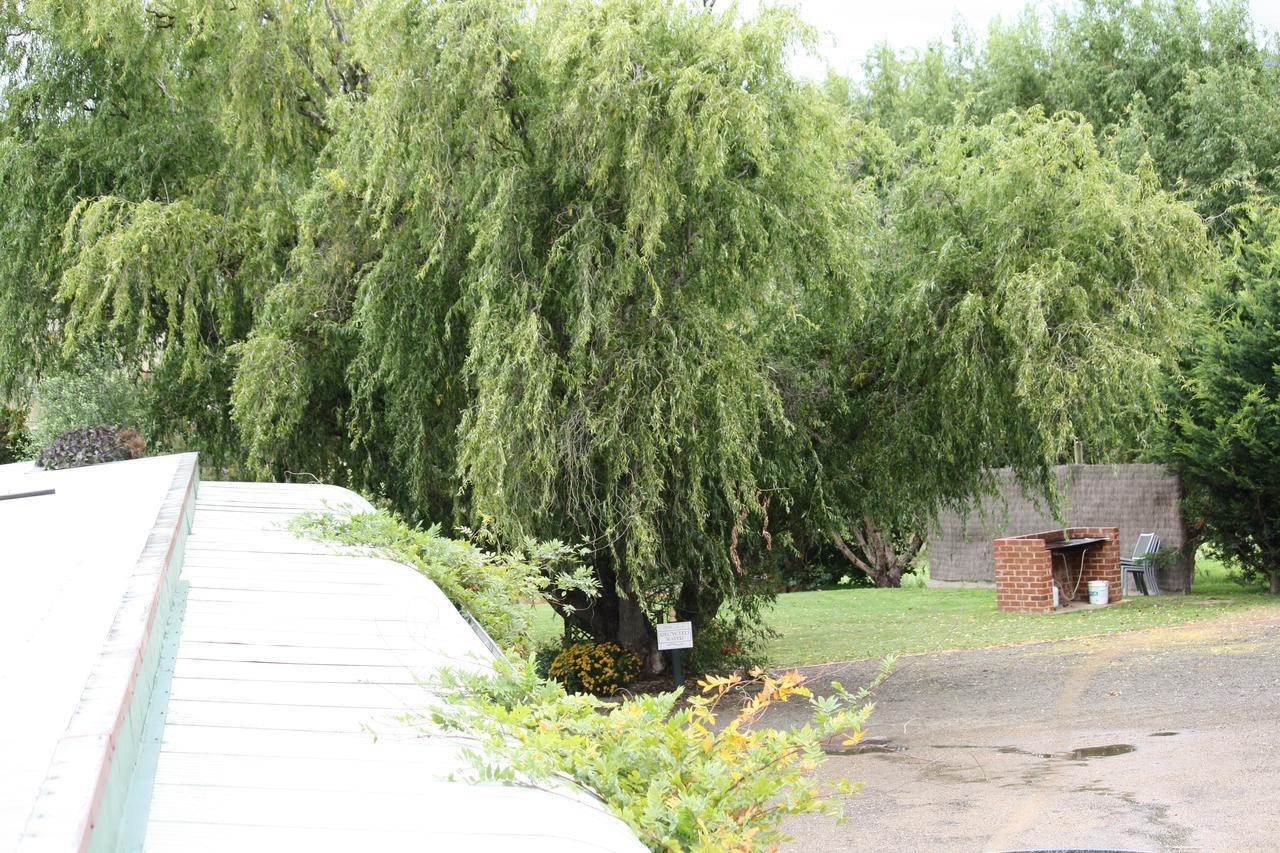 Omeo Motel エクステリア 写真